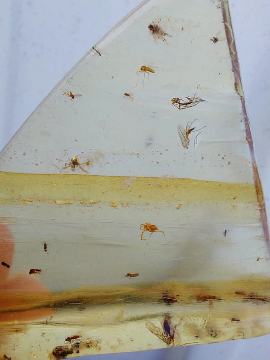Copal Young Amber with INSECTS inside, 8.39g, Fossil (Ref: CA31)