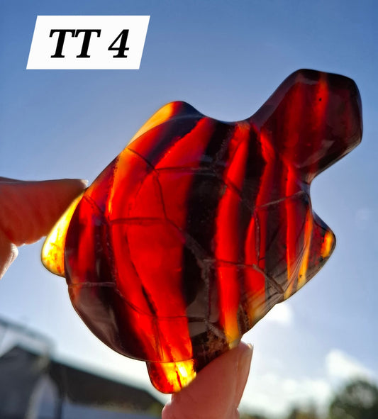 Red Amber Turtle, 47.85g, Carving, Fossil (Ref: TT4)