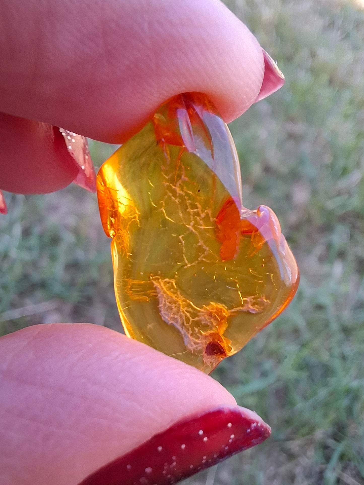 Baltic Amber, 1.31g, Fossil (Ref: A234)