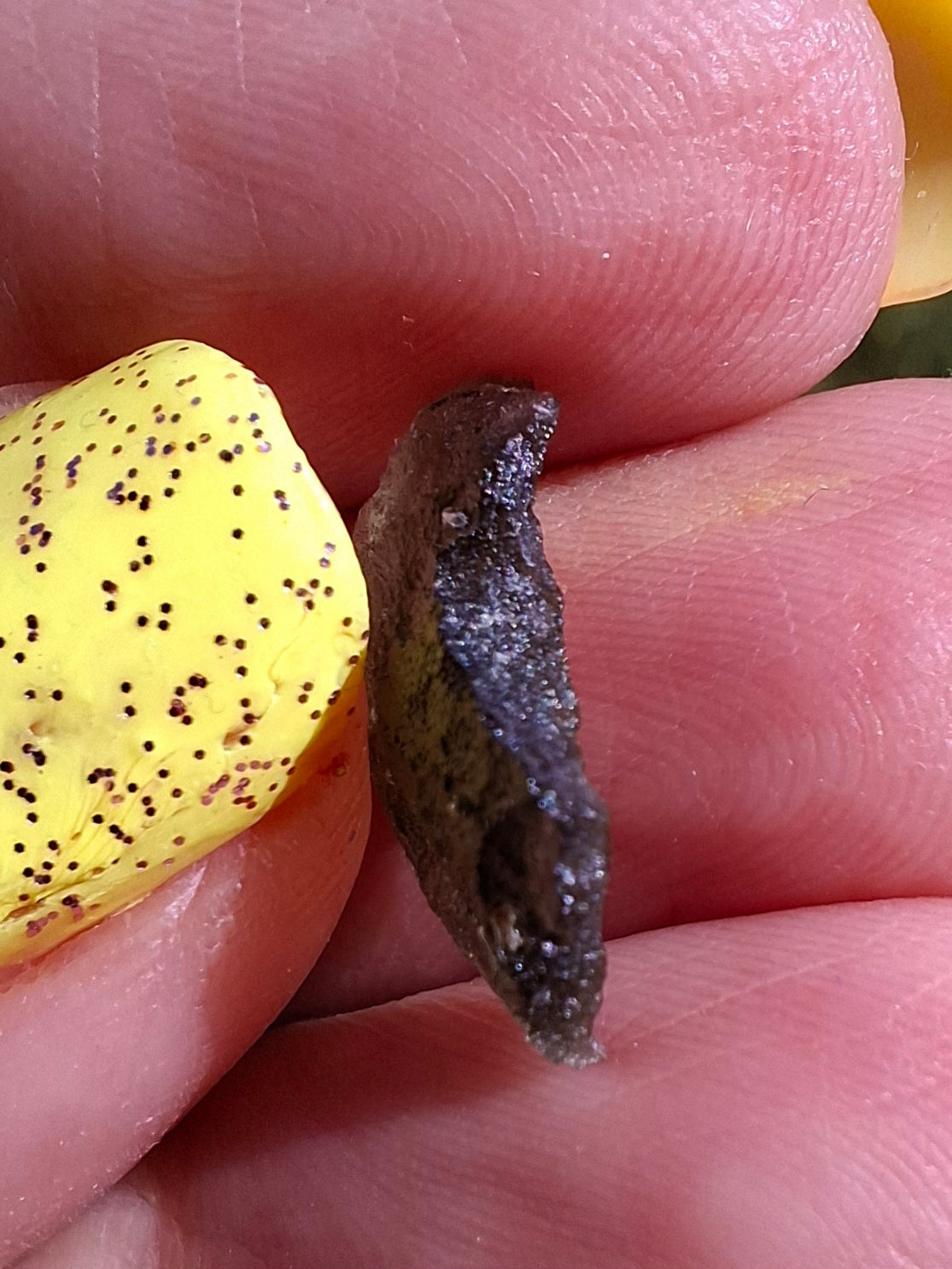 Moldavite Piece, 0.48g, Tektite (Ref: 1480)
