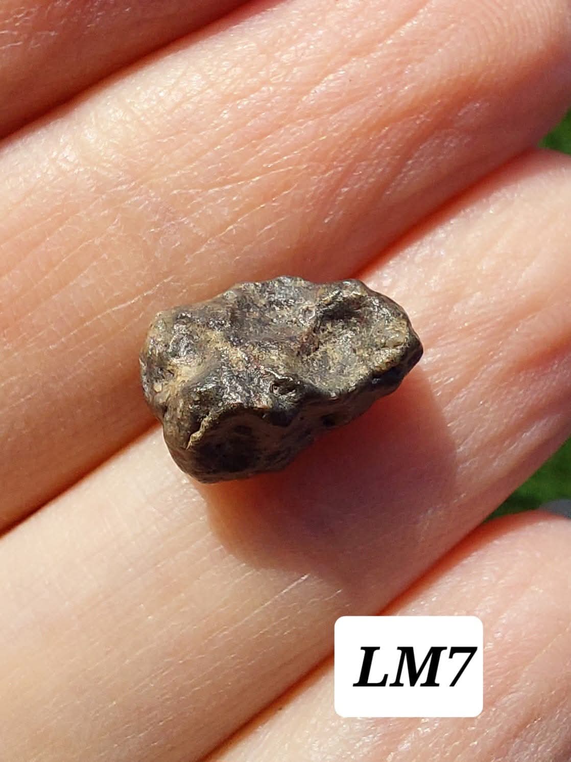 Lunar Meteorite, 0.83g, 'Moon Rock' (Ref: LM7)