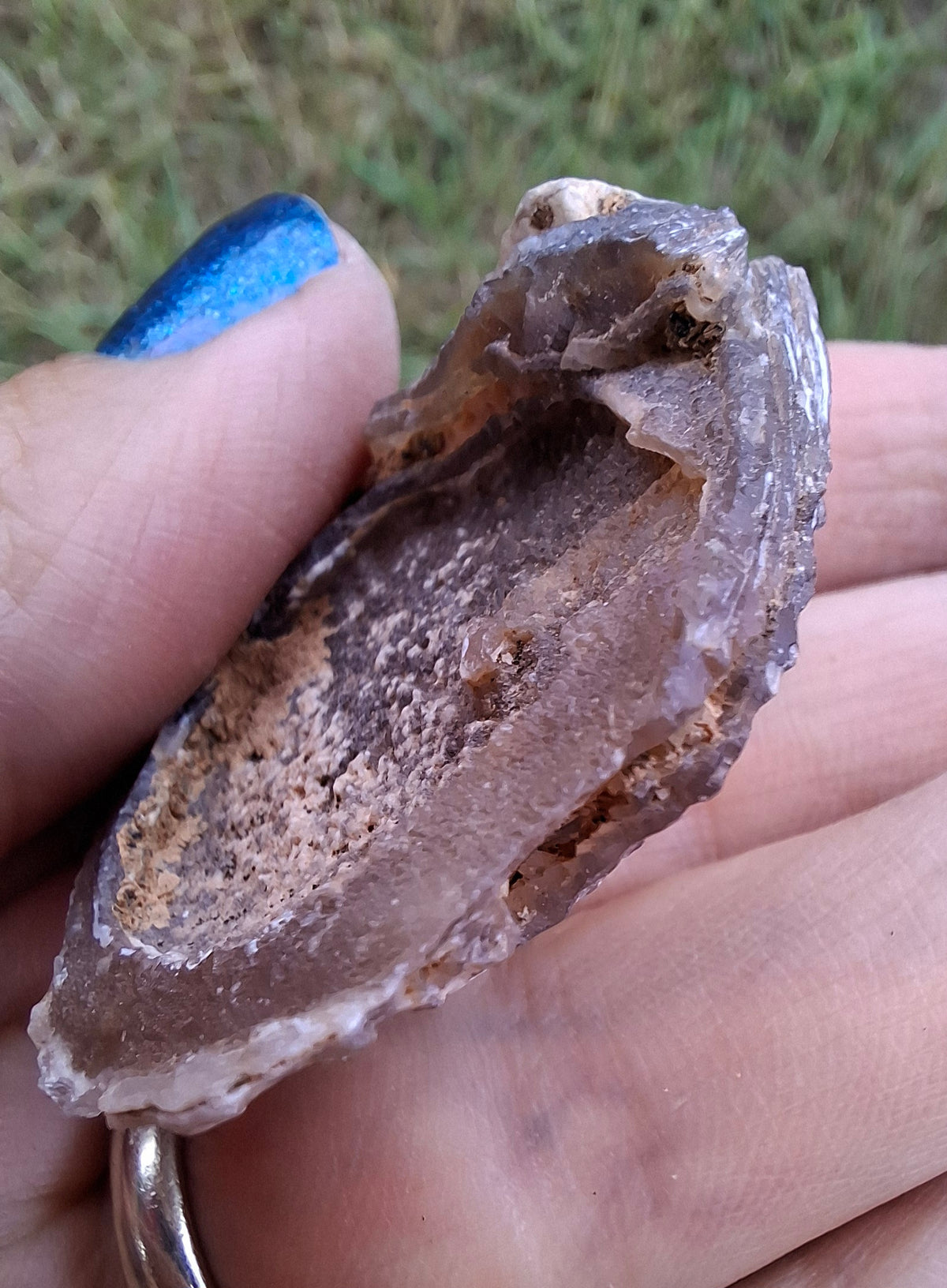 Chalcedony Oyster, Fossil (Ref: FO4)