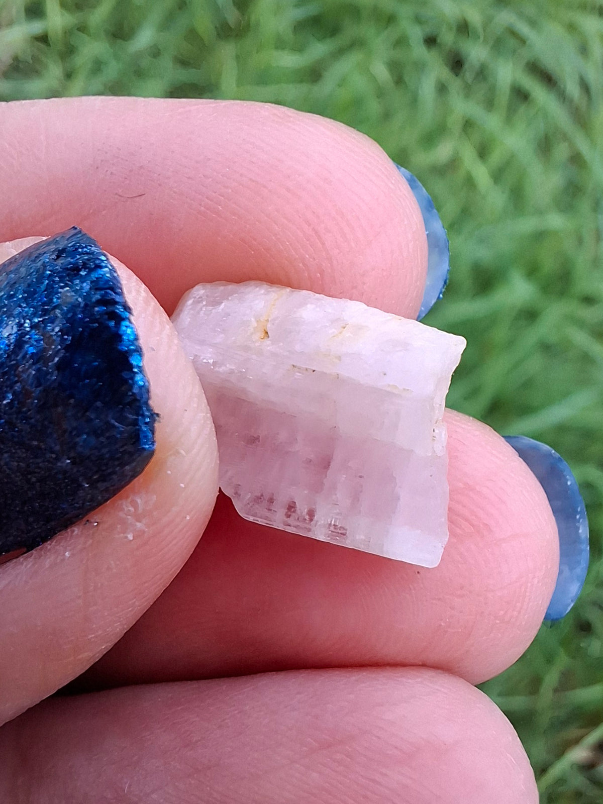 Morganite, 1.46g, Crystal (Ref: MO2)