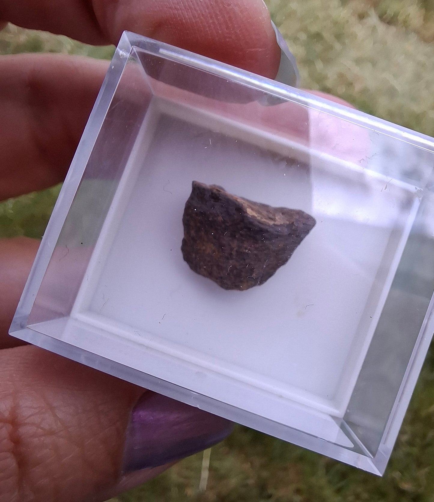 Chondrite, Meteorite (Ref: CM8)