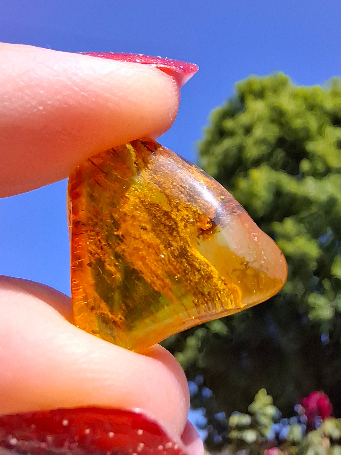 Baltic Amber, 1.61g, Fossil (Ref: A186)