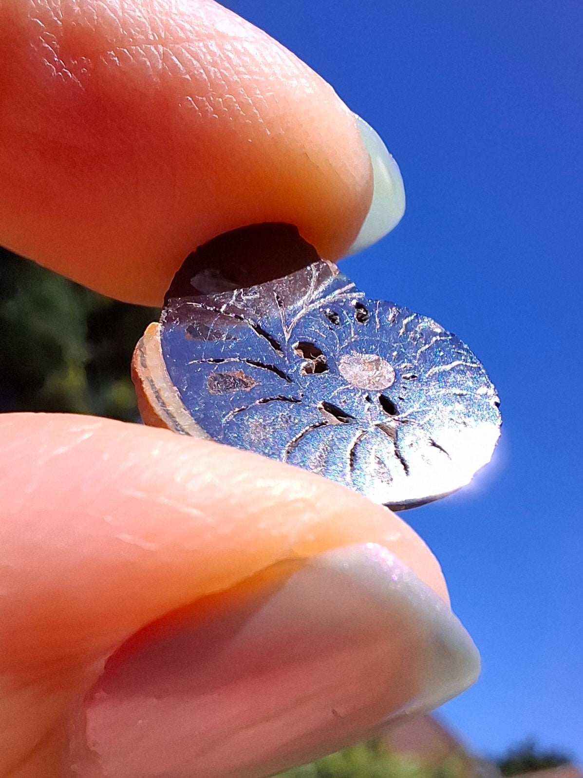 Small Haematite Ammonite HALF, 1.32g, Fossil (Ref: MA5)