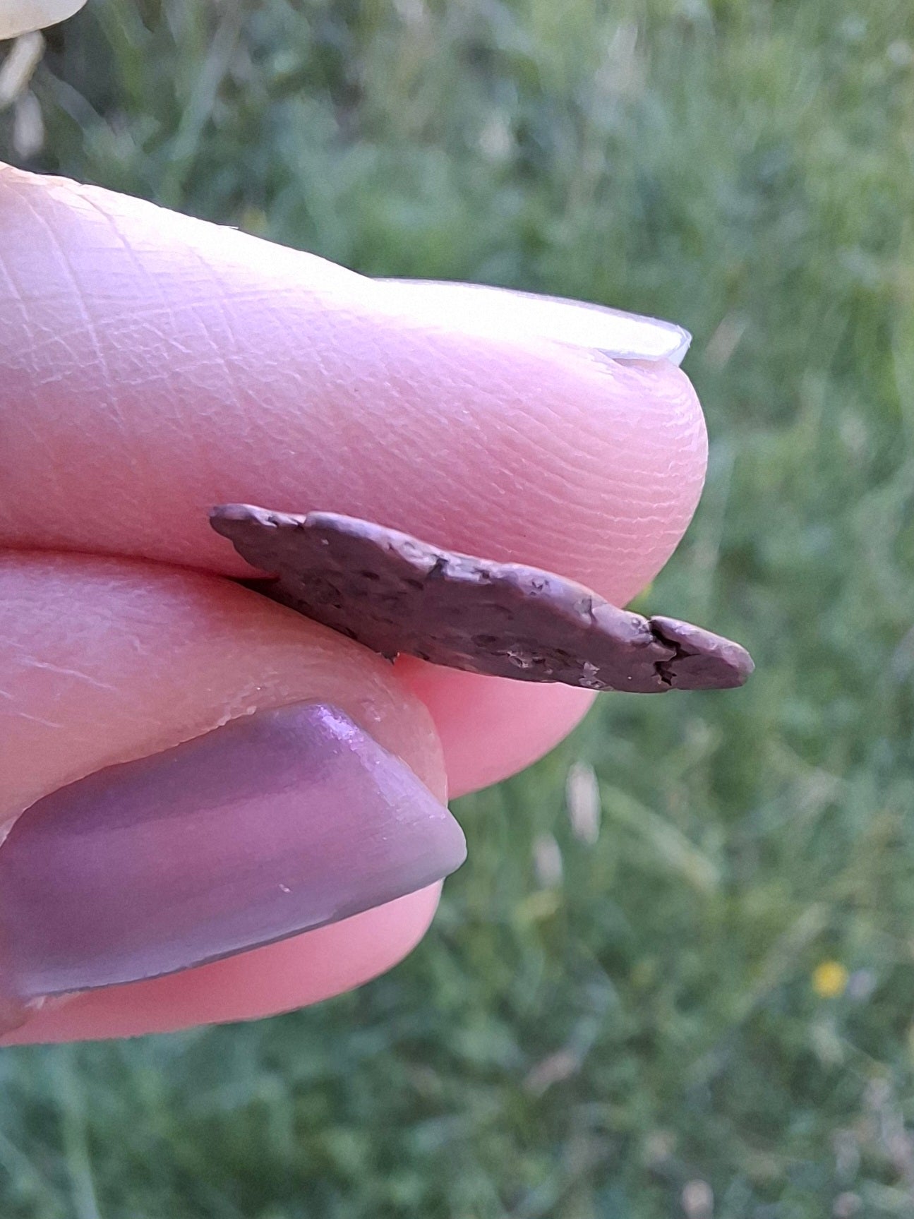 Native Copper Nugget, 0.96g, (Ref: COP8)