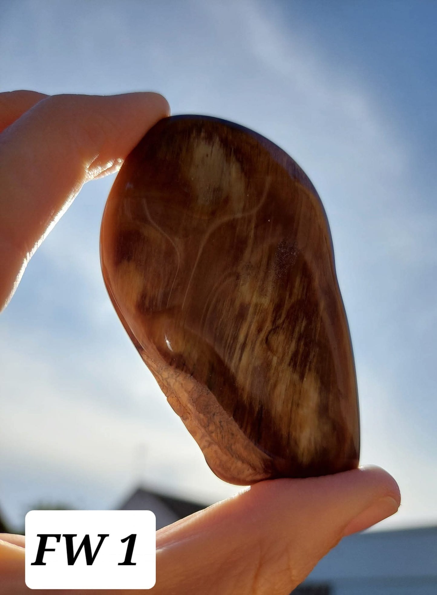 Fossilised Wood (polished), 74.86g, Fossil (Ref: FE1)