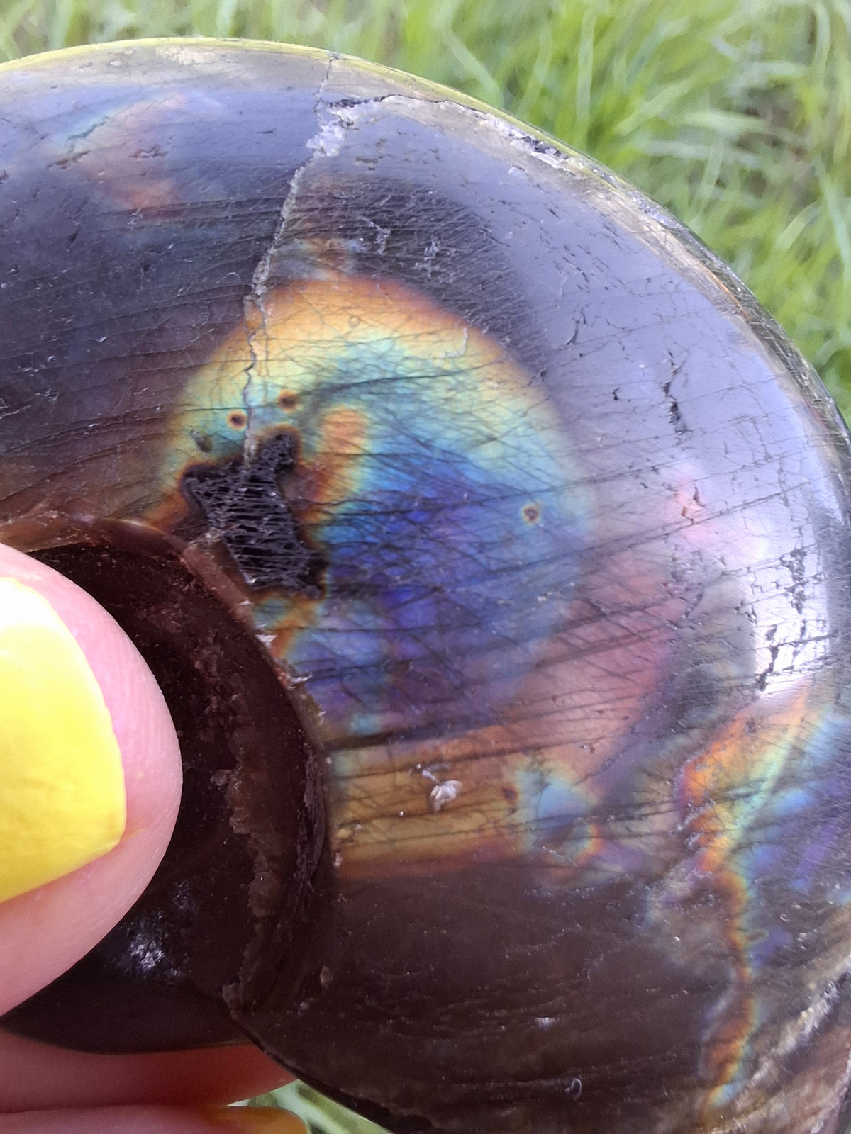 Labradorite Ammonite Carving, 89.31g, Crystal (Ref: laba6)