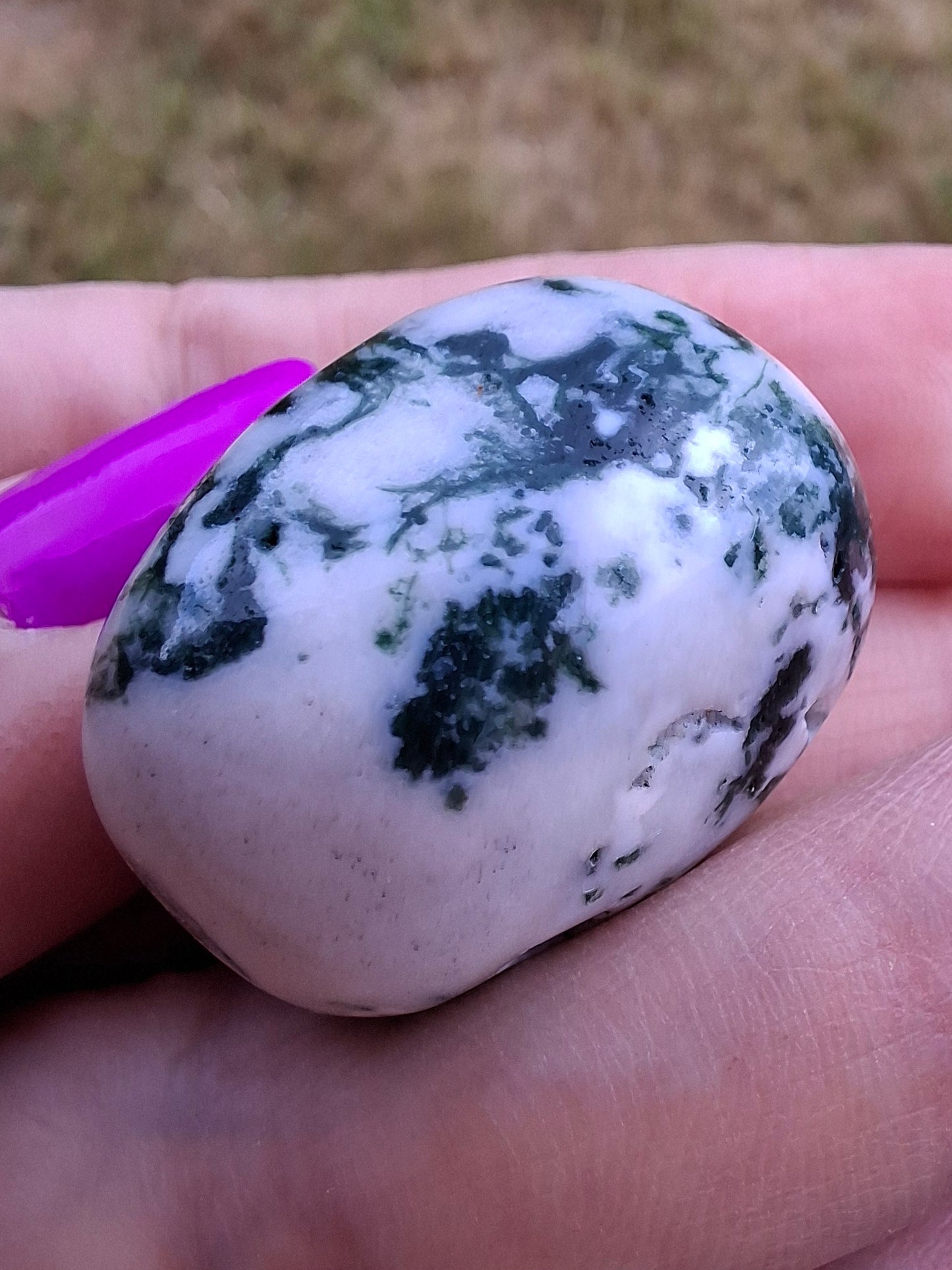 Tree Agate, Tumble Stone, Crystal (Ref: T5)
