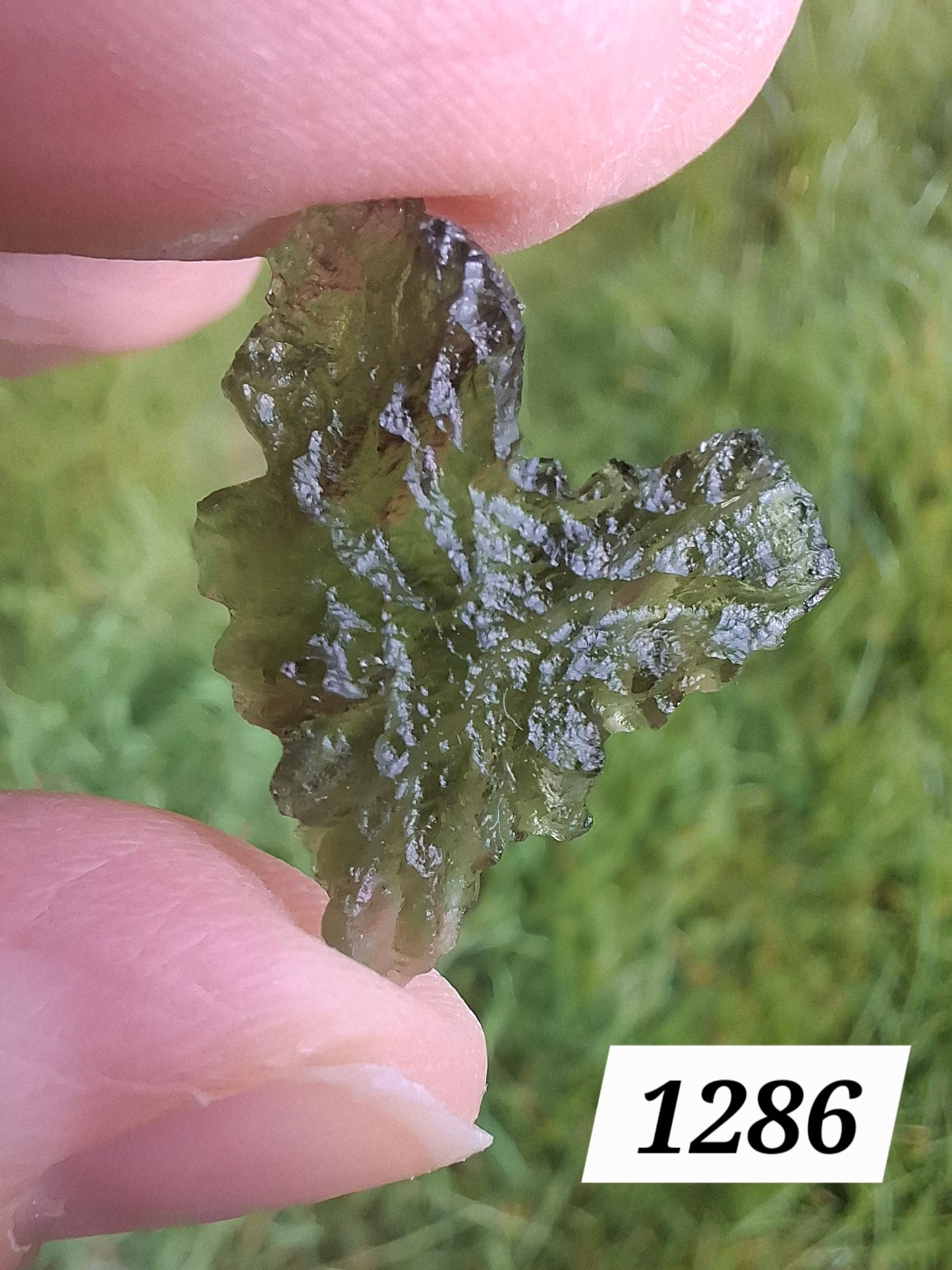 Moldavite Piece, JEZKOVNA BESEDNICE, 1.30g, Tektite (Ref: 1286)