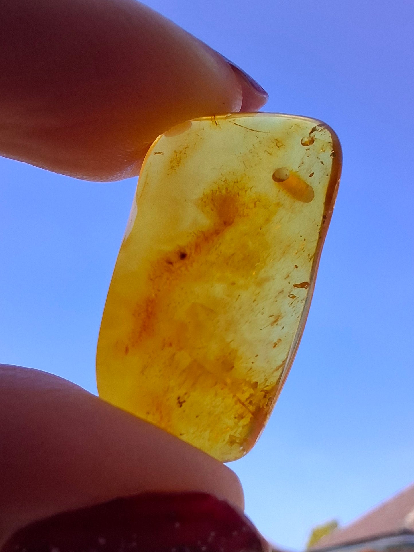 Baltic Amber, 1.55g, Fossil (Ref: A219)
