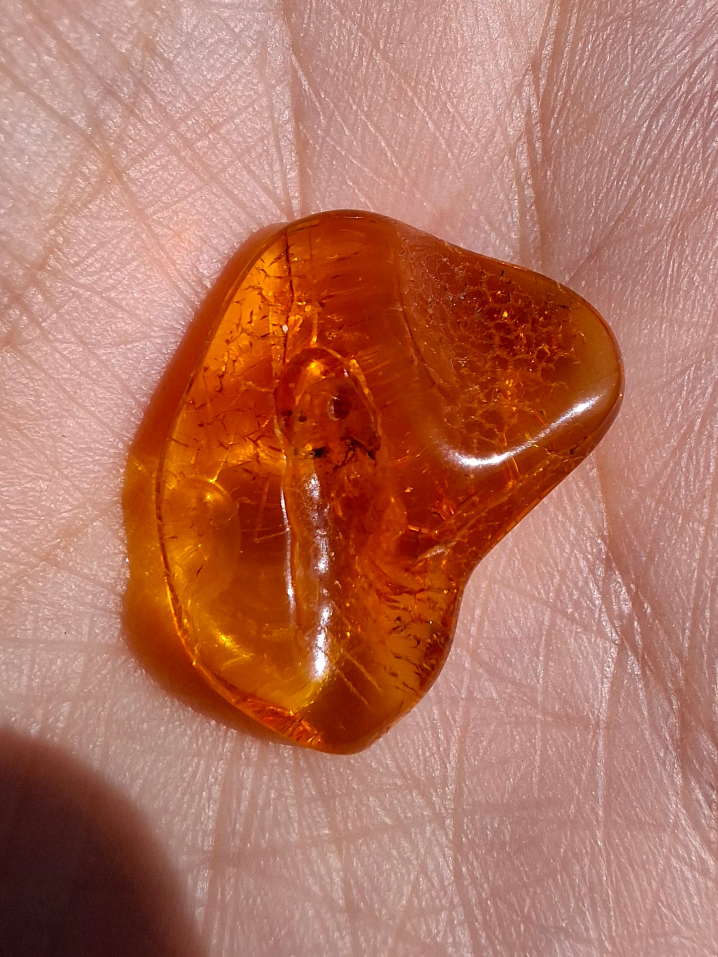 Baltic Amber, 1.07g, Fossil (Ref: A98)
