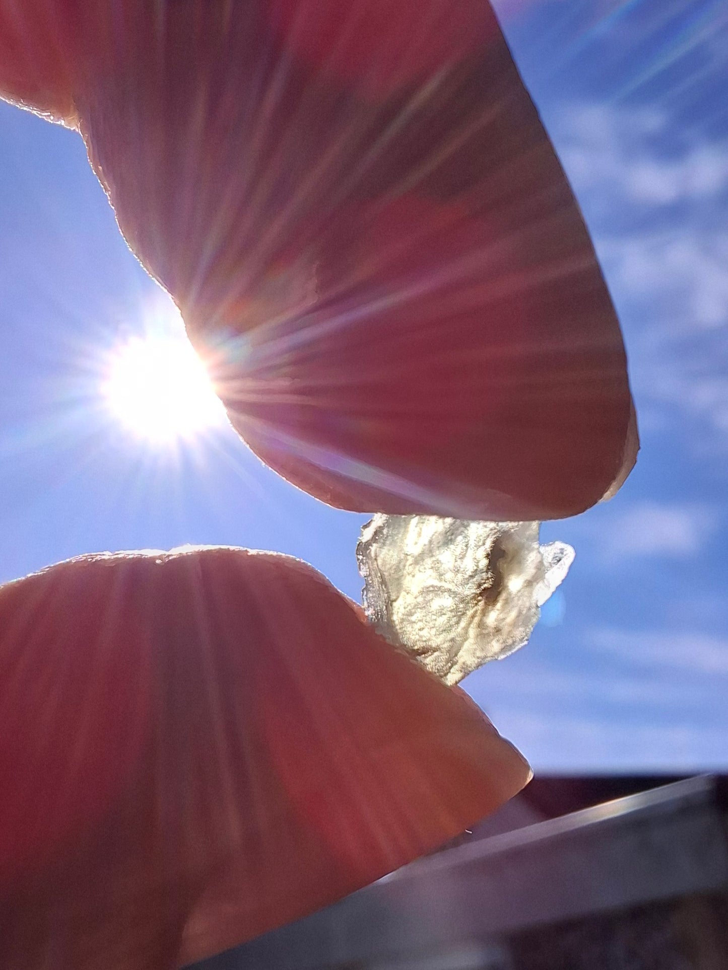 Moldavite chip Bundle, 1g, 4 pcs, Tektite (MB38)