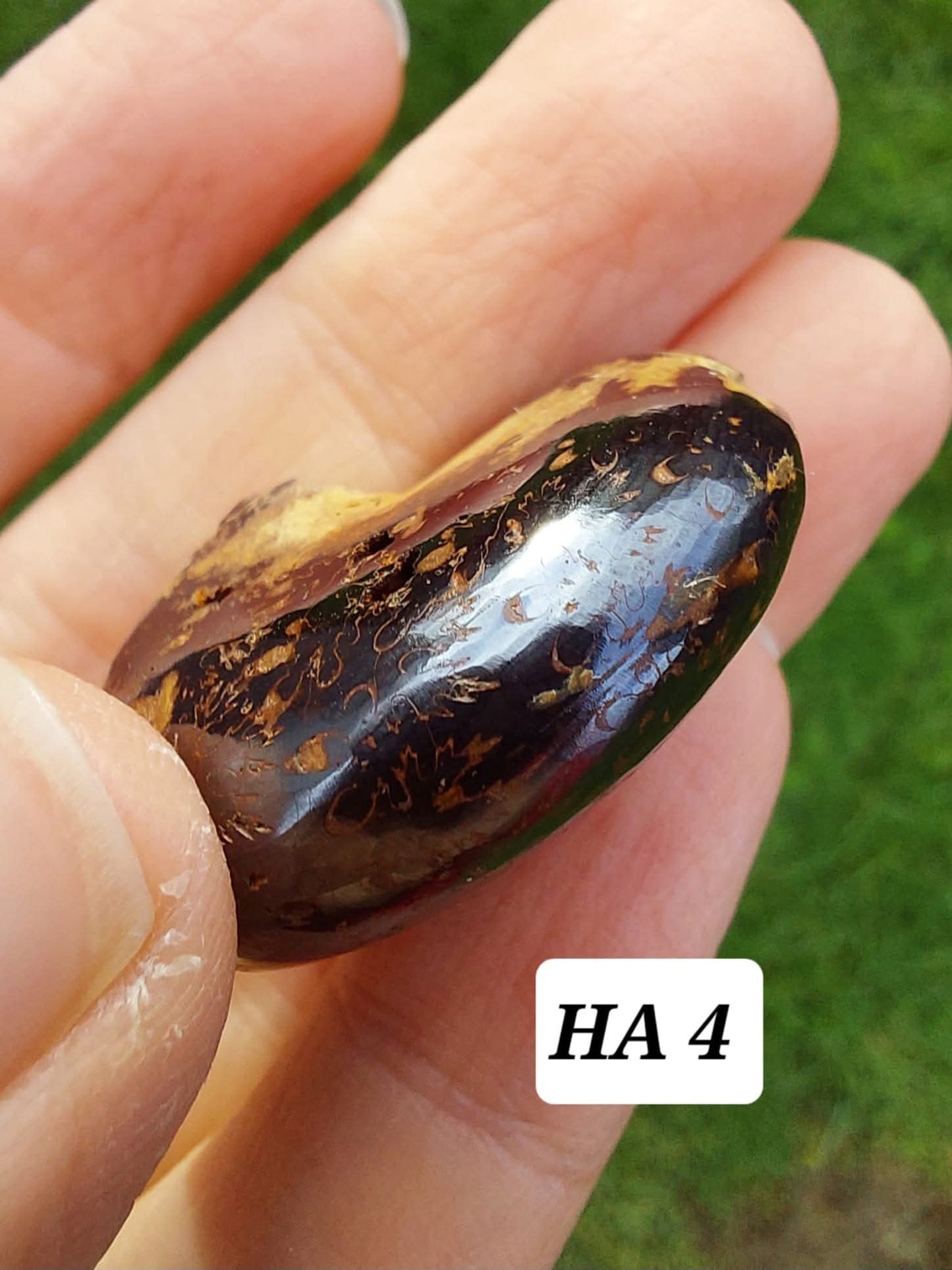 Hematite Ammonite, 18.26g, Fossil (Ref: HA4)