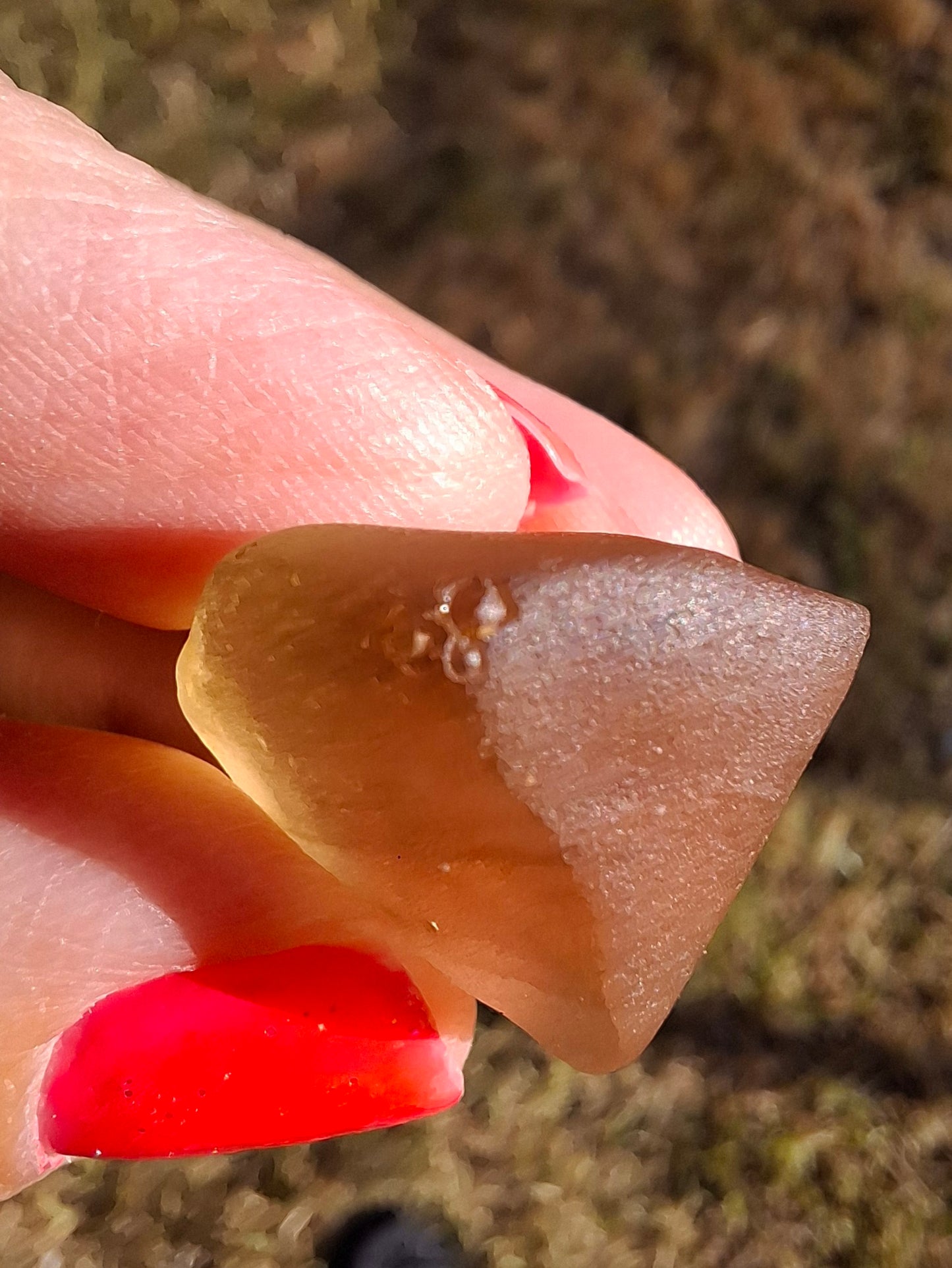 Libyan Desert Glass (darker) Piece, 9.54g, Tektite (Ref: L1371)