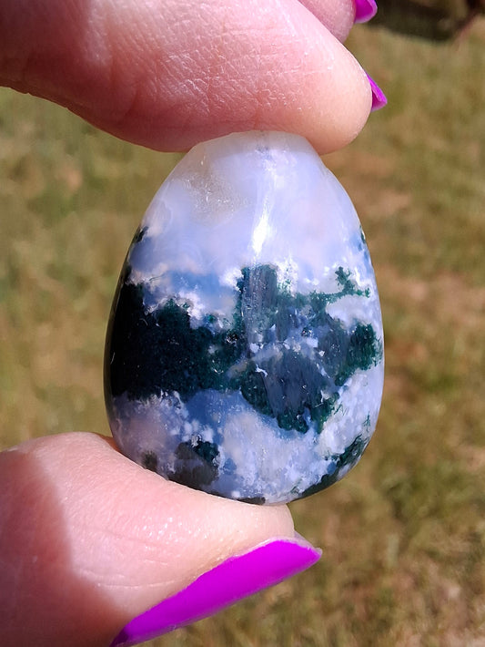 Tree Agate, Tumble Stone, Crystal (Ref: T2)