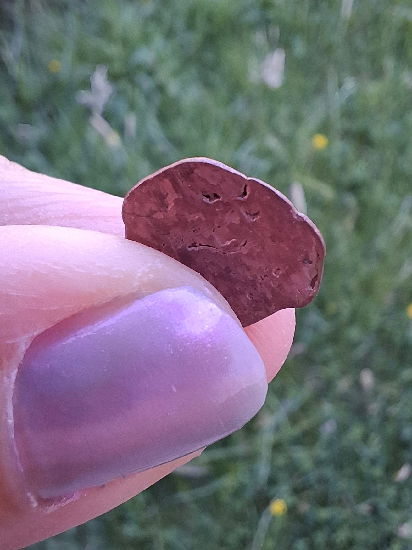 Native Copper Nugget, 0.53g, (Ref: COP10)