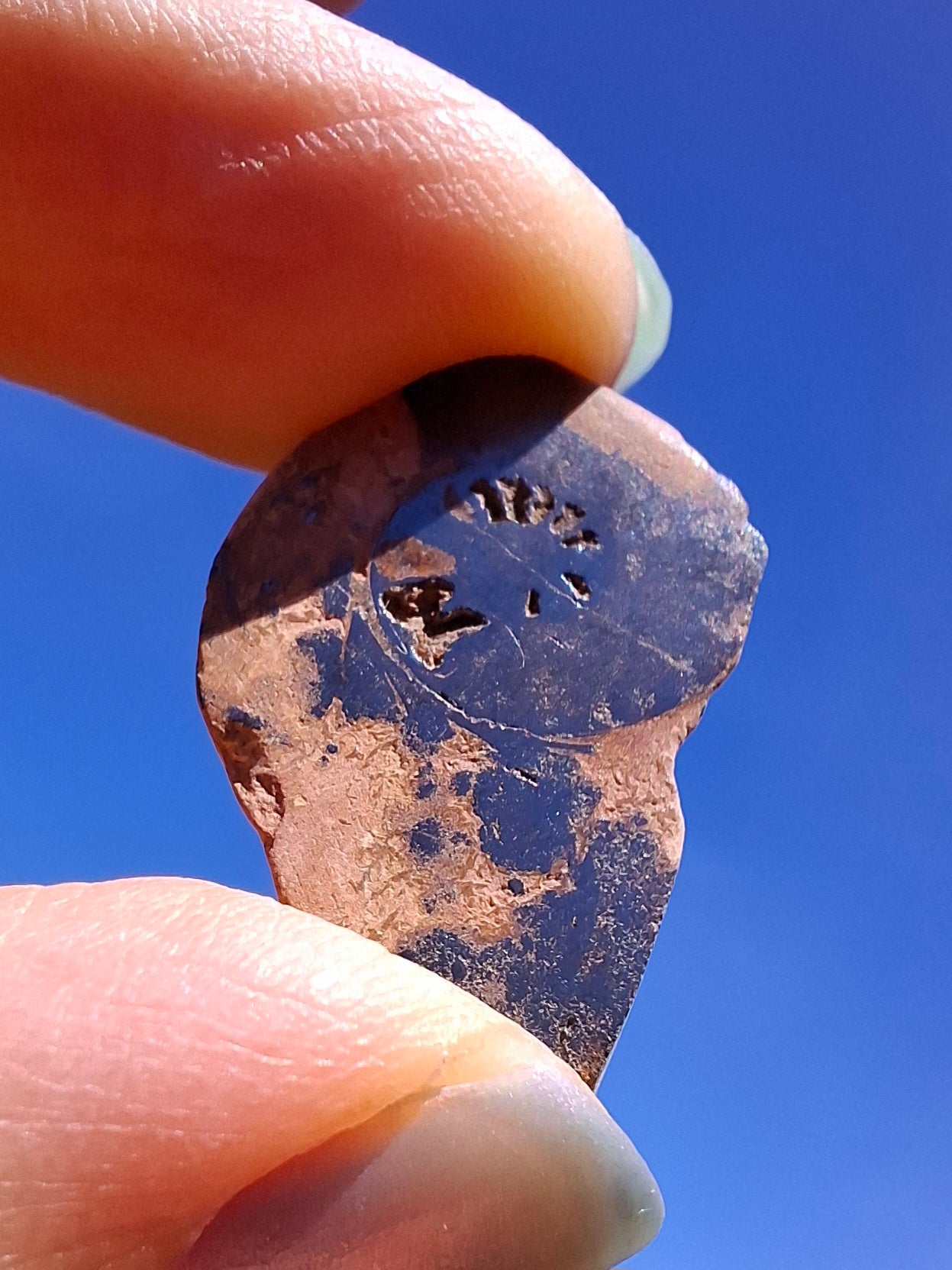 Small Haematite Ammonite Halves BUNDLE, (7 pcs), Fossil (Ref: MA13)