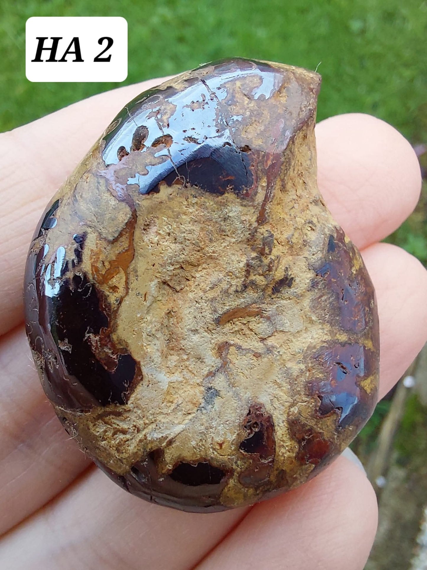 Hematite Ammonite, 22.72g, Fossil (Ref: HA2)
