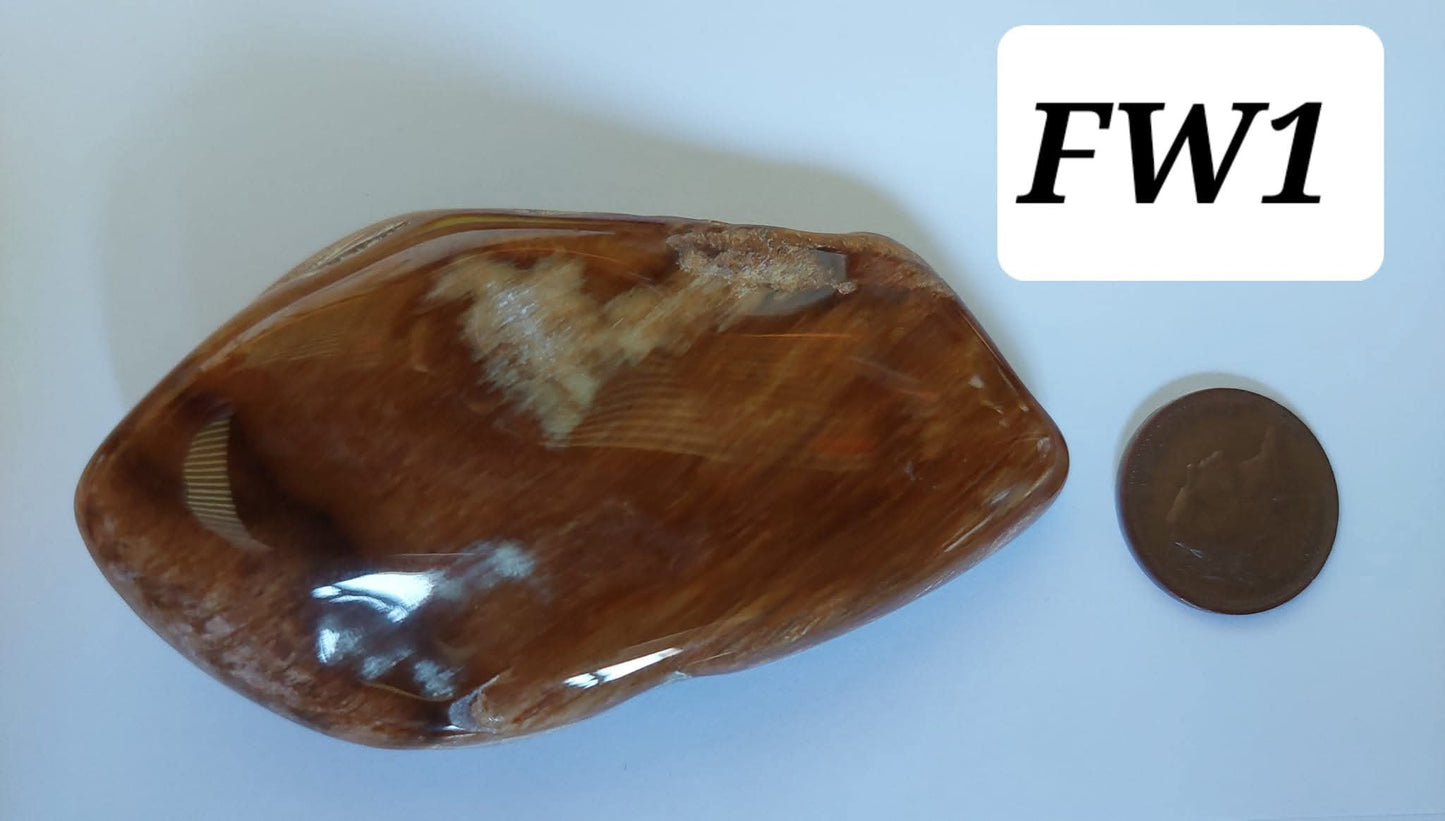 Fossilised Wood (polished), 74.86g, Fossil (Ref: FE1)