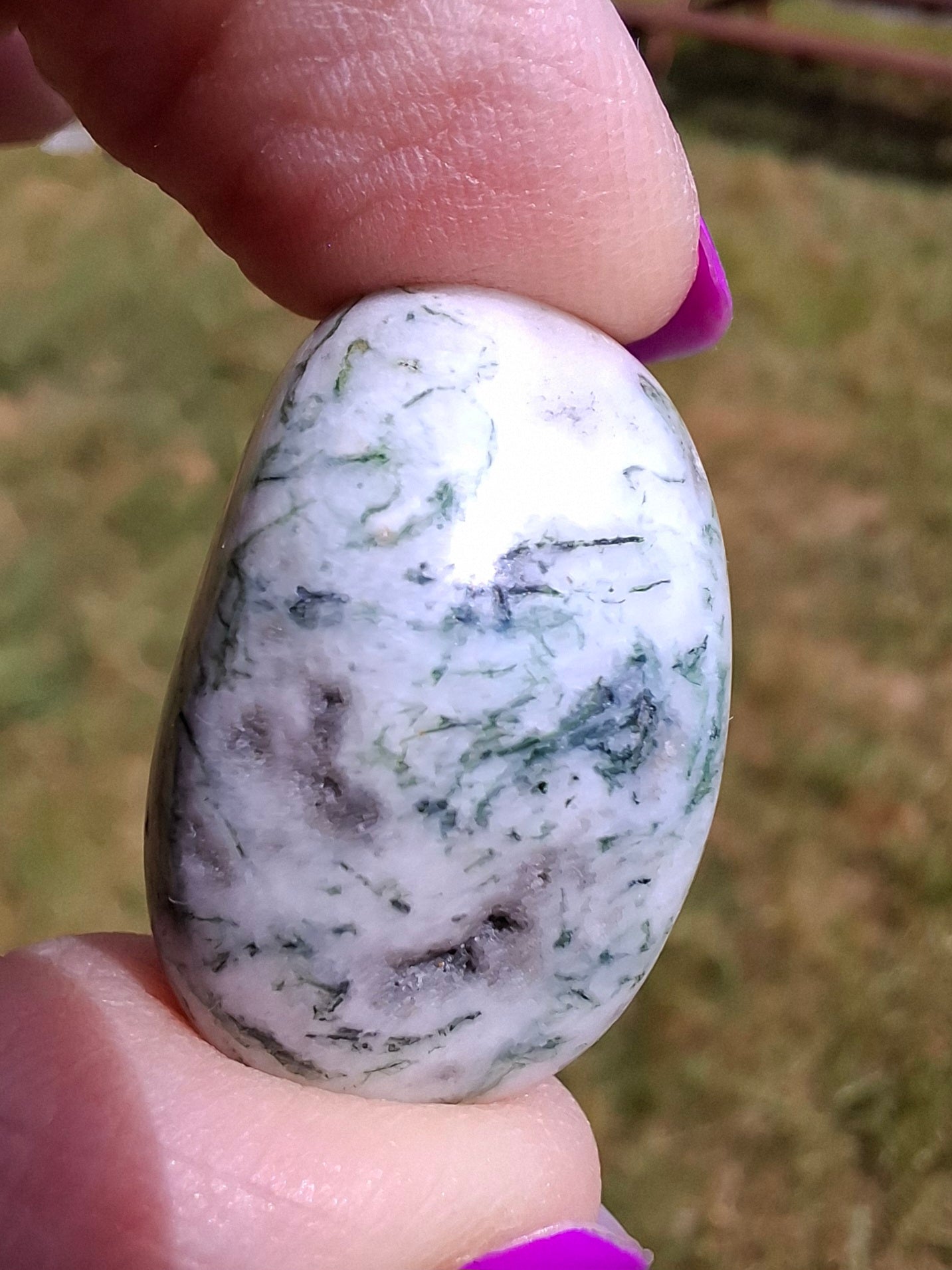 Tree Agate, Tumble Stone, Crystal (Ref: T3)