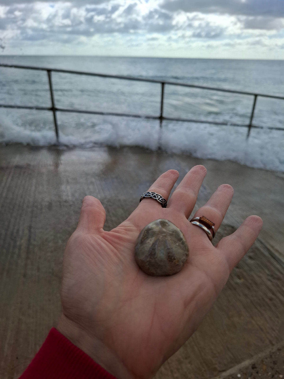 Polished Sea Urchin, Fossil (Ref: SU5)