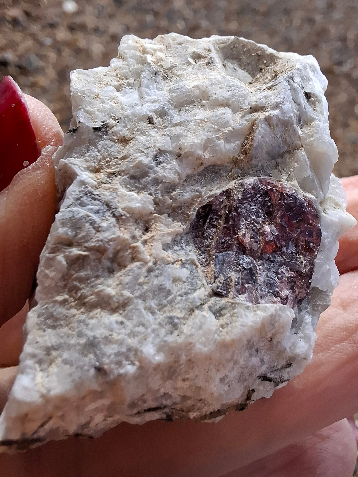 (Dig your own) Garnet in Matrix, Crystal (Ref: RG3)