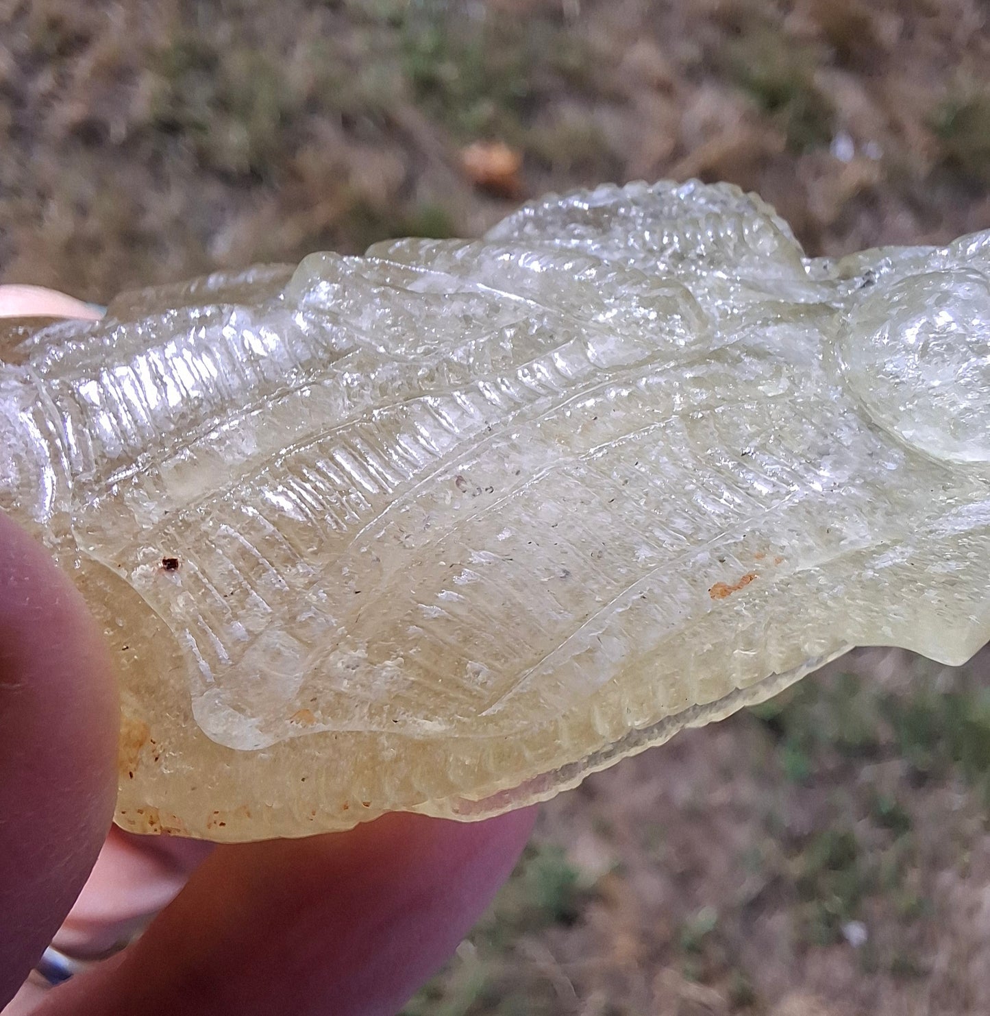 Libyan Desert Glass DRAGON HEAD carving, 48.11g, Tektite (Ref: Dragon4)