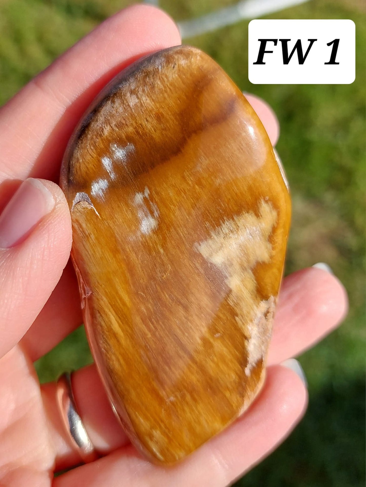 Fossilised Wood (polished), 74.86g, Fossil (Ref: FE1)