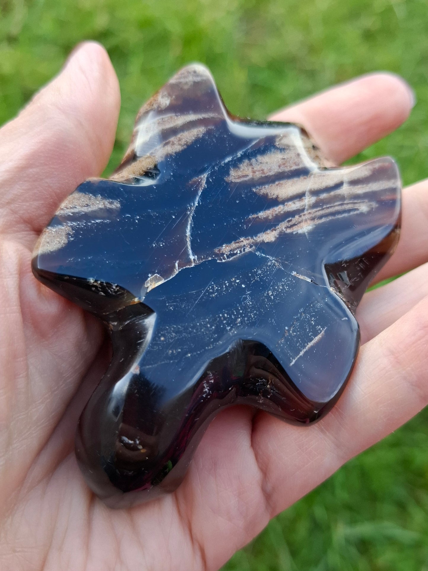 Red Amber Turtle, 59.07g, Carving, Fossil (Ref: TT5)