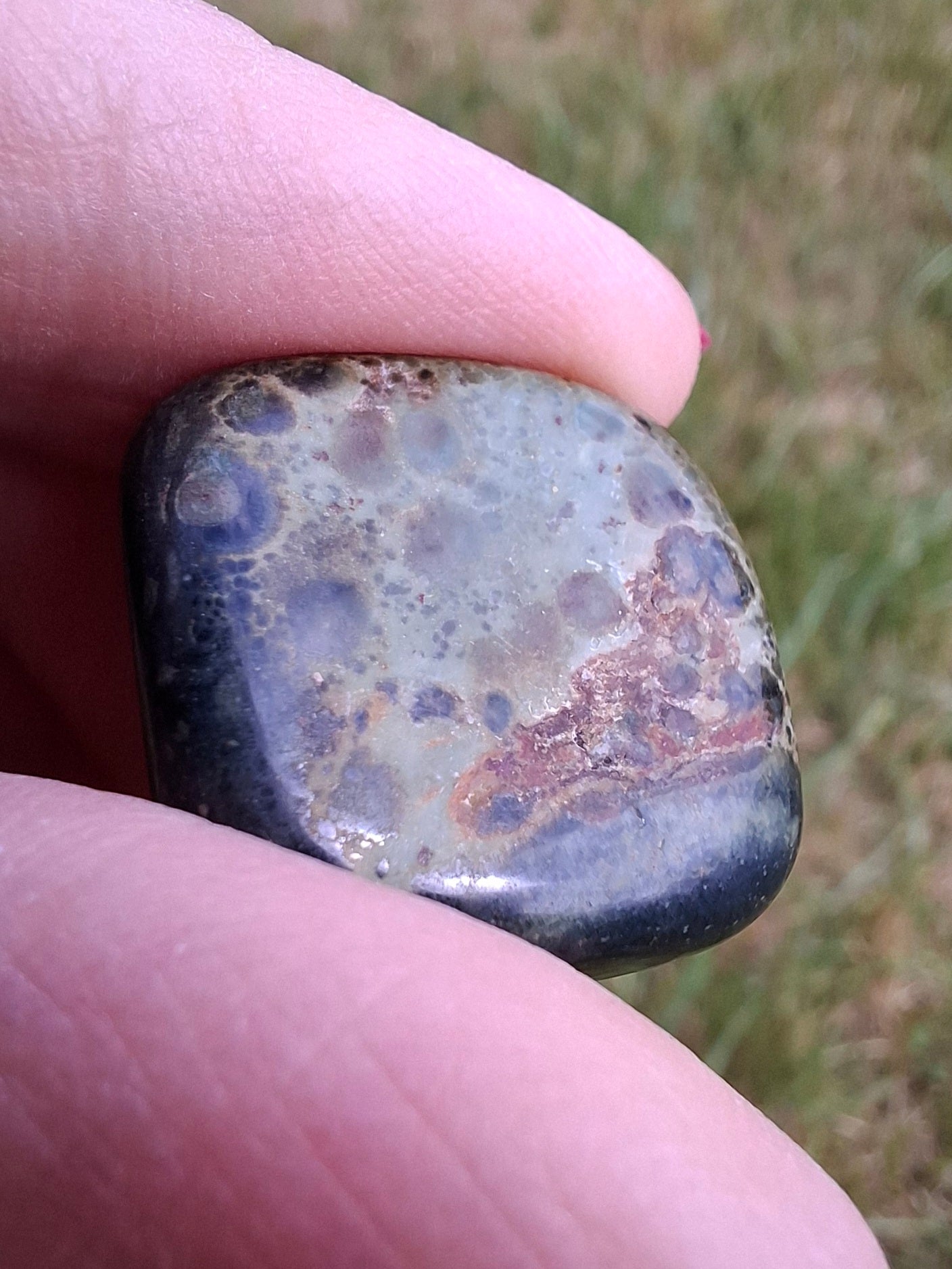 Kambaba Jasper, Tumble Stone, Crystal (Ref: T162)