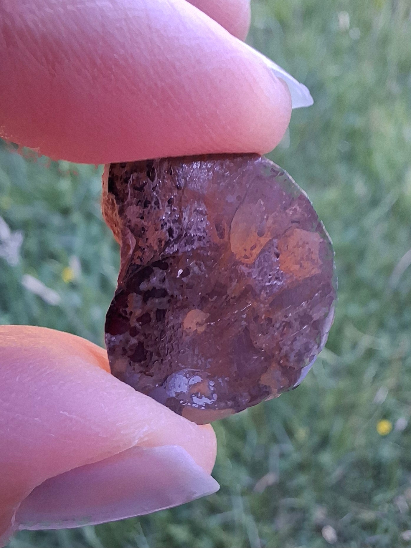 Small Haematite Ammonite HALF, 2.59g, Fossil (Ref: MA7)