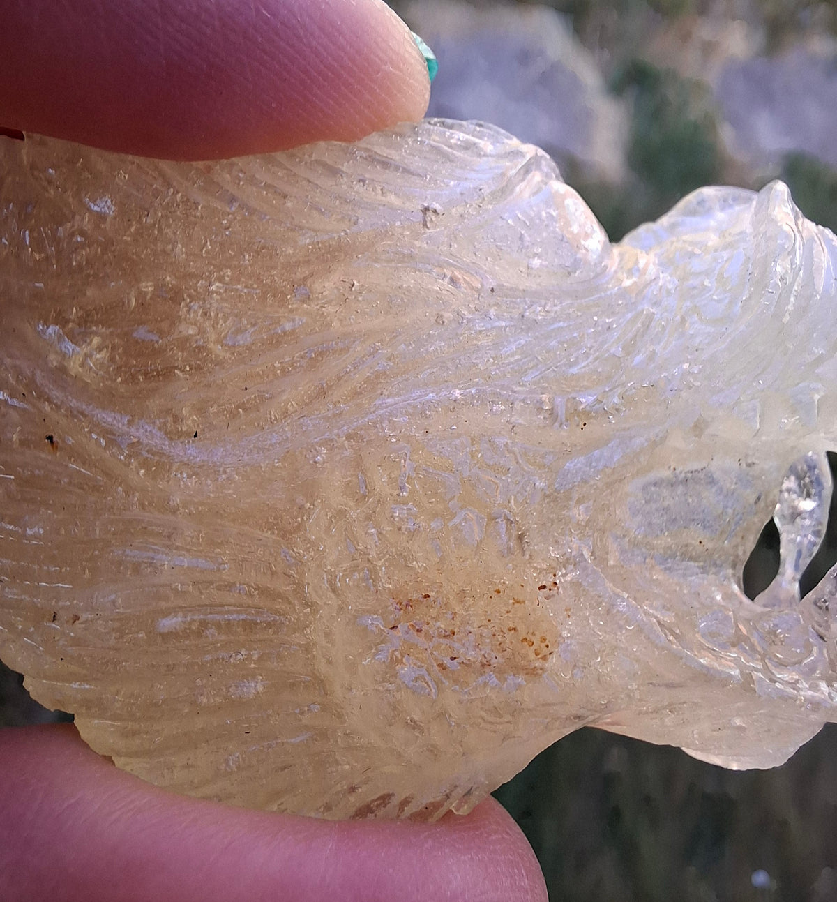 Libyan Desert Glass DRAGON HEAD Carving, 75.84g, Tektite (Ref: Dragon1)