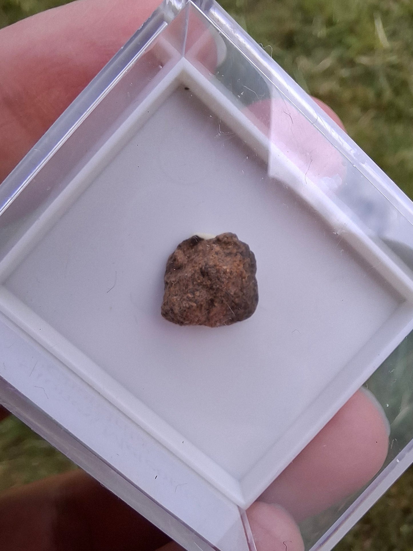 Chondrite, Meteorite (Ref: CM9)