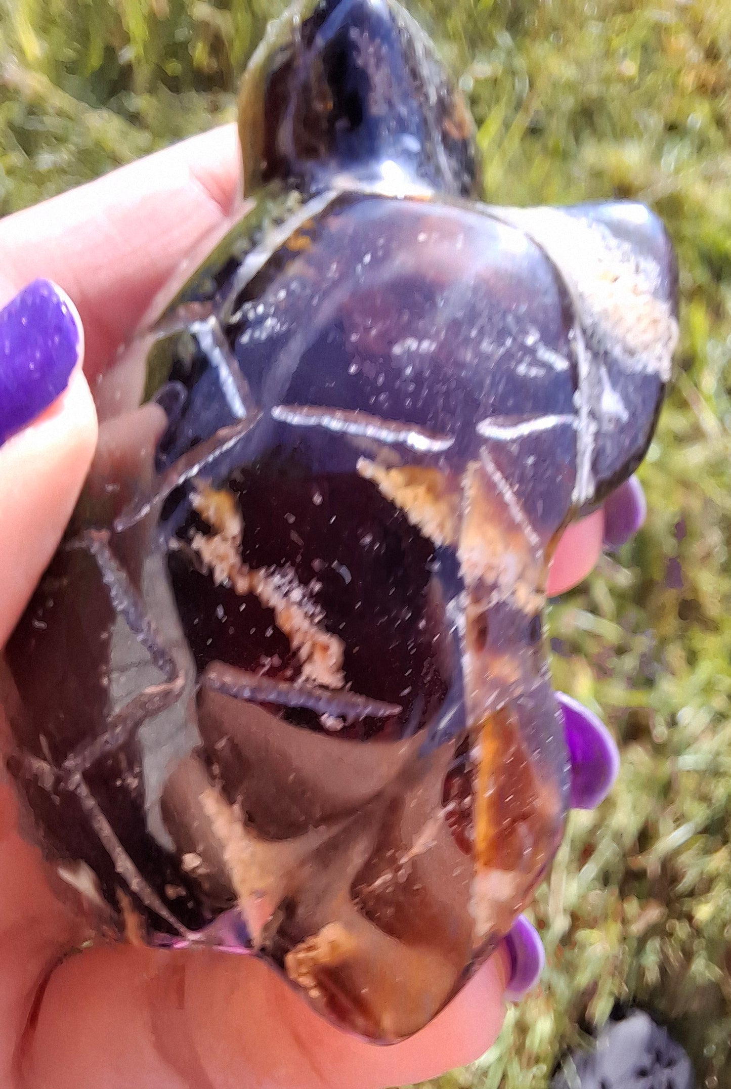 Red Amber Turtle, 56.87g, Carving, Fossil (Ref: TT2)