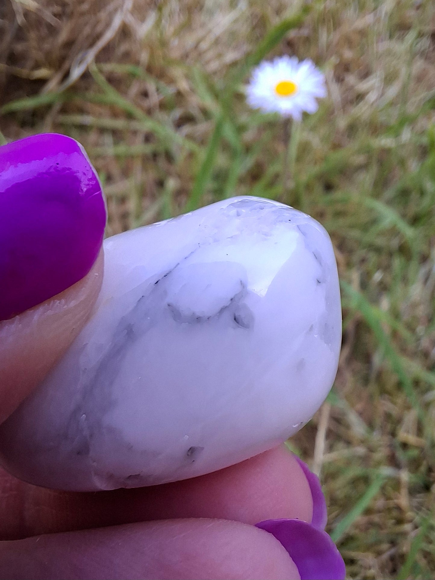 Howlite, Tumble Stone, Crystal (Ref: T41)