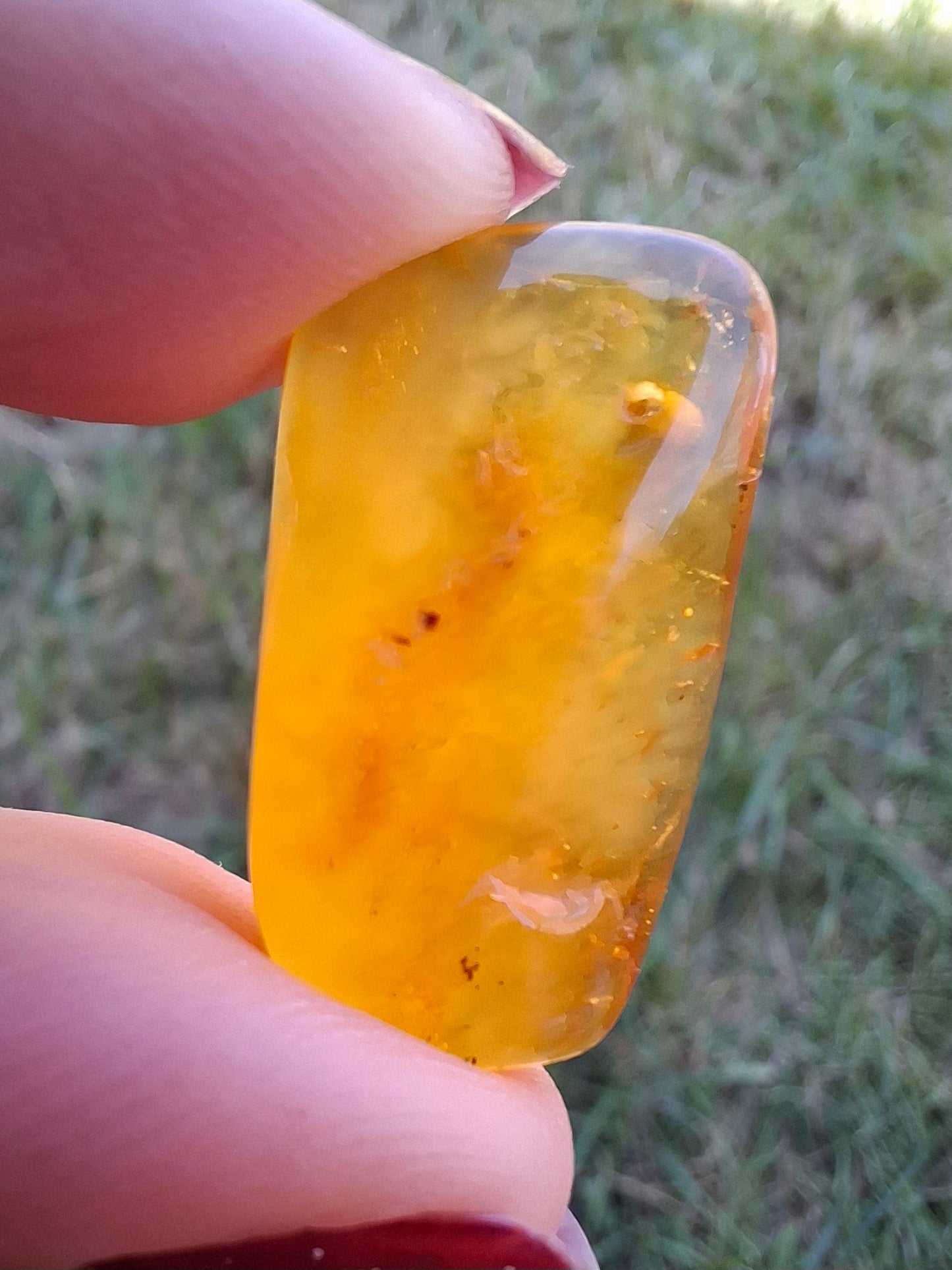 Baltic Amber, 1.55g, Fossil (Ref: A219)