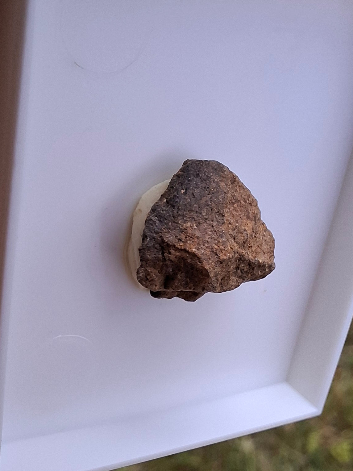 Chondrite, Meteorite (Ref: CM9)