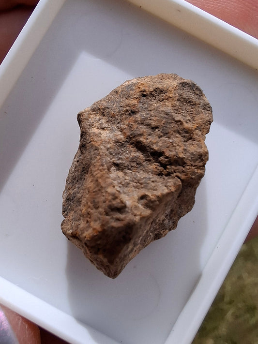 Chondrite, Meteorite (Ref: CM7)