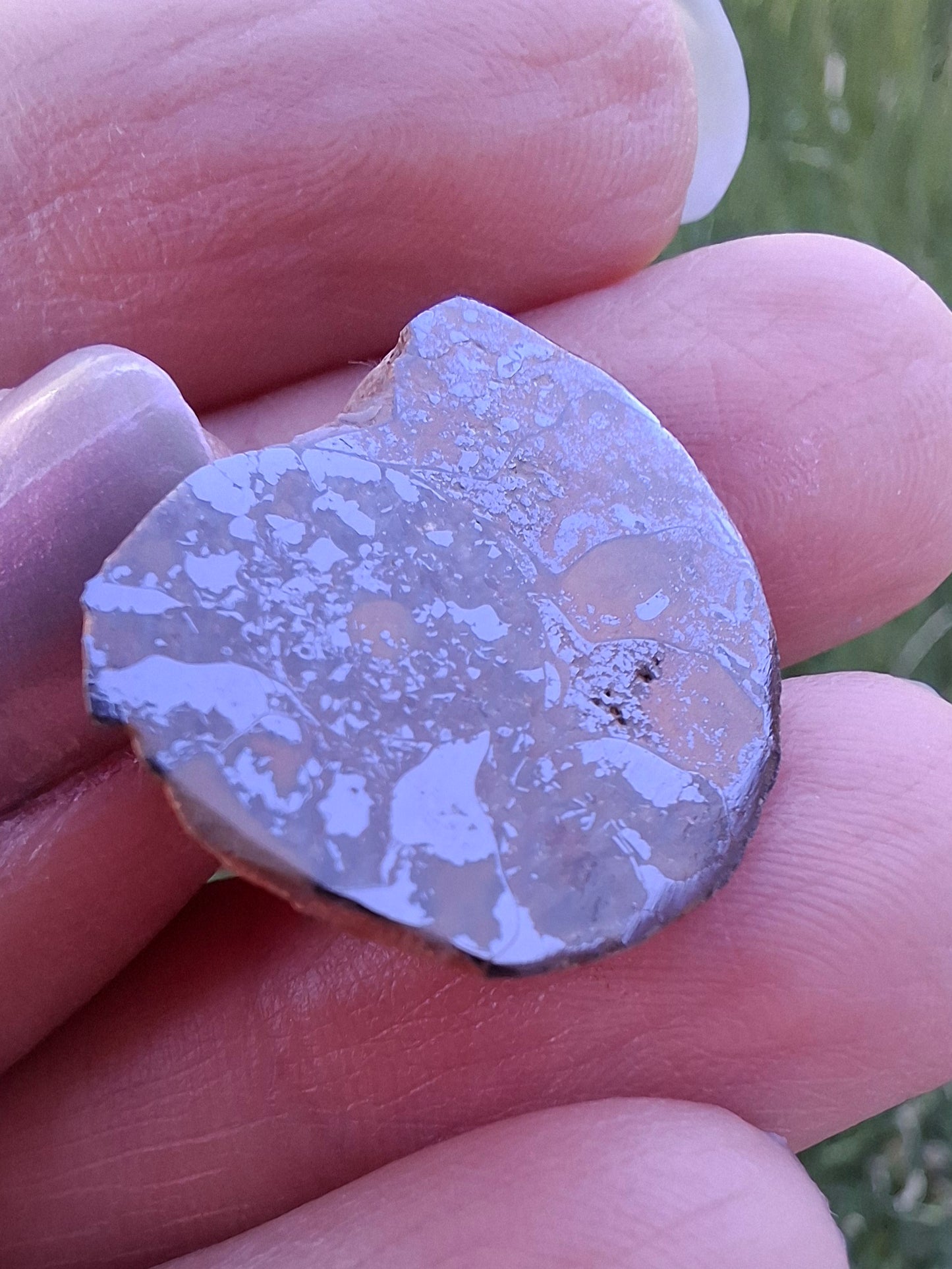 Small Haematite Ammonite HALF, 2.59g, Fossil (Ref: MA7)