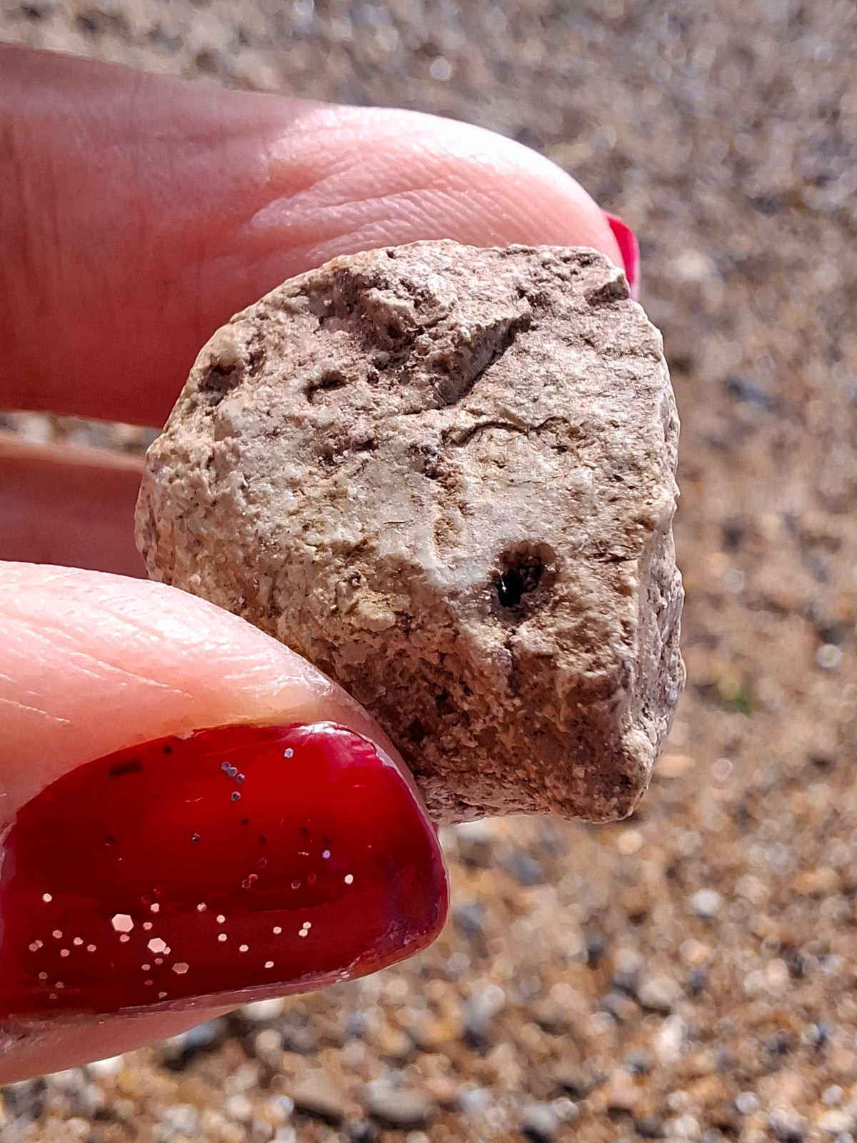 Sauropod Dinosaur Coprolite, 7.32g, Fossil (Ref: DP4)