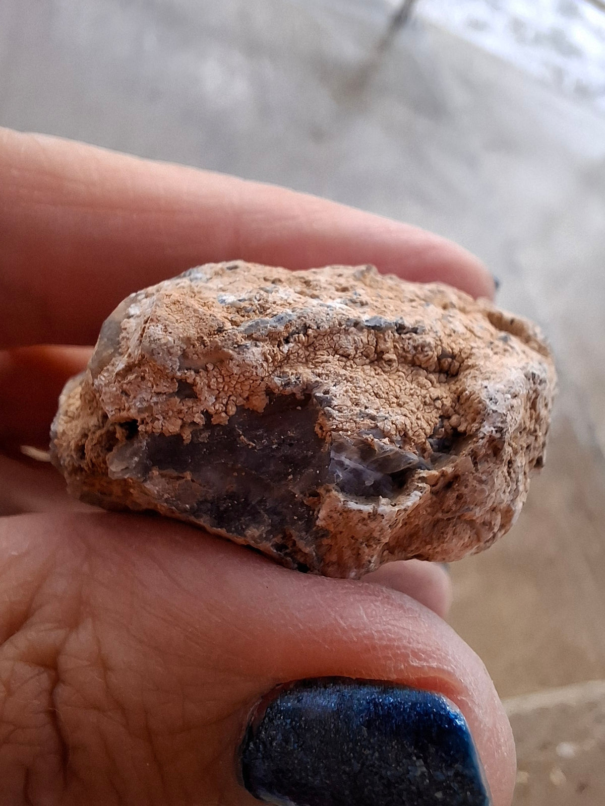 Chalcedony Oyster, Fossil (Ref: FO2)