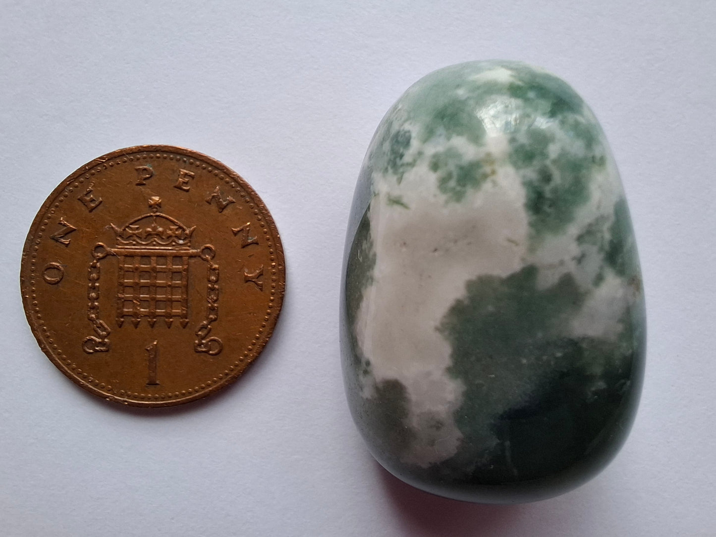 Tree Agate, Tumble Stone, Crystal (Ref: T4)