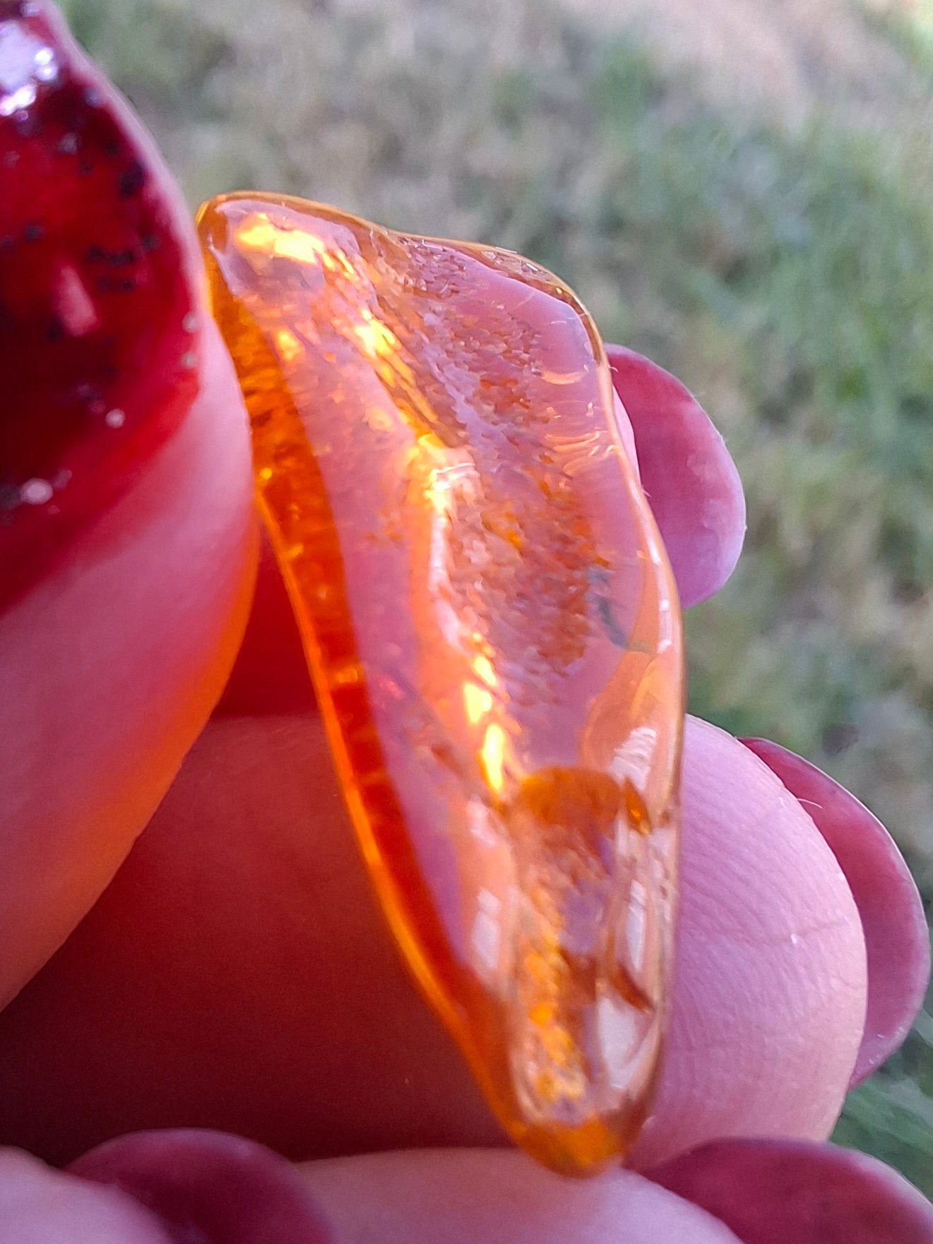 Baltic Amber, 1.11g, Fossil (Ref: A255)