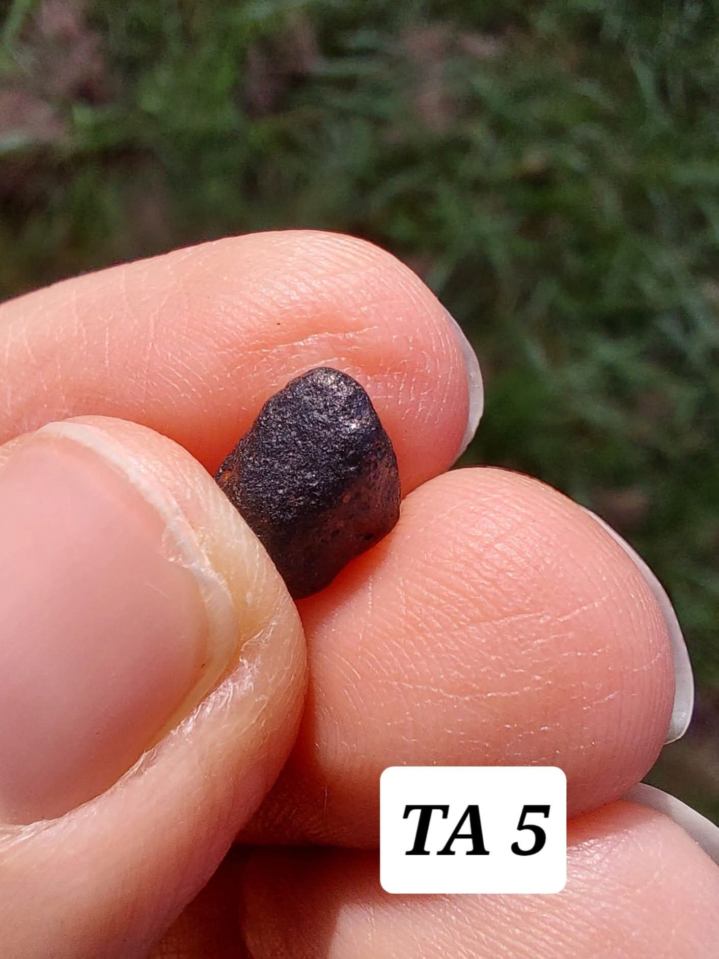 Atacamite, 0.49g, Tektite (Ref: TA5)