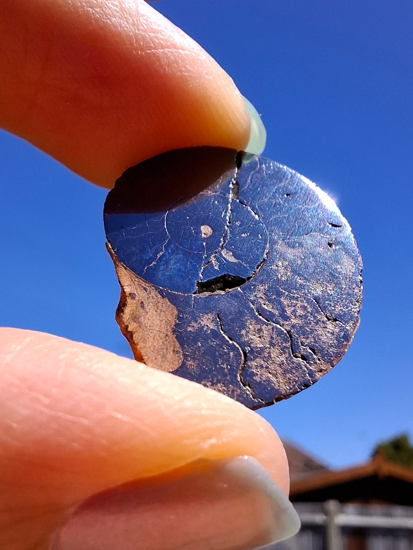 Small Haematite Ammonite HALF, 2.24g, Fossil (Ref: MA10)