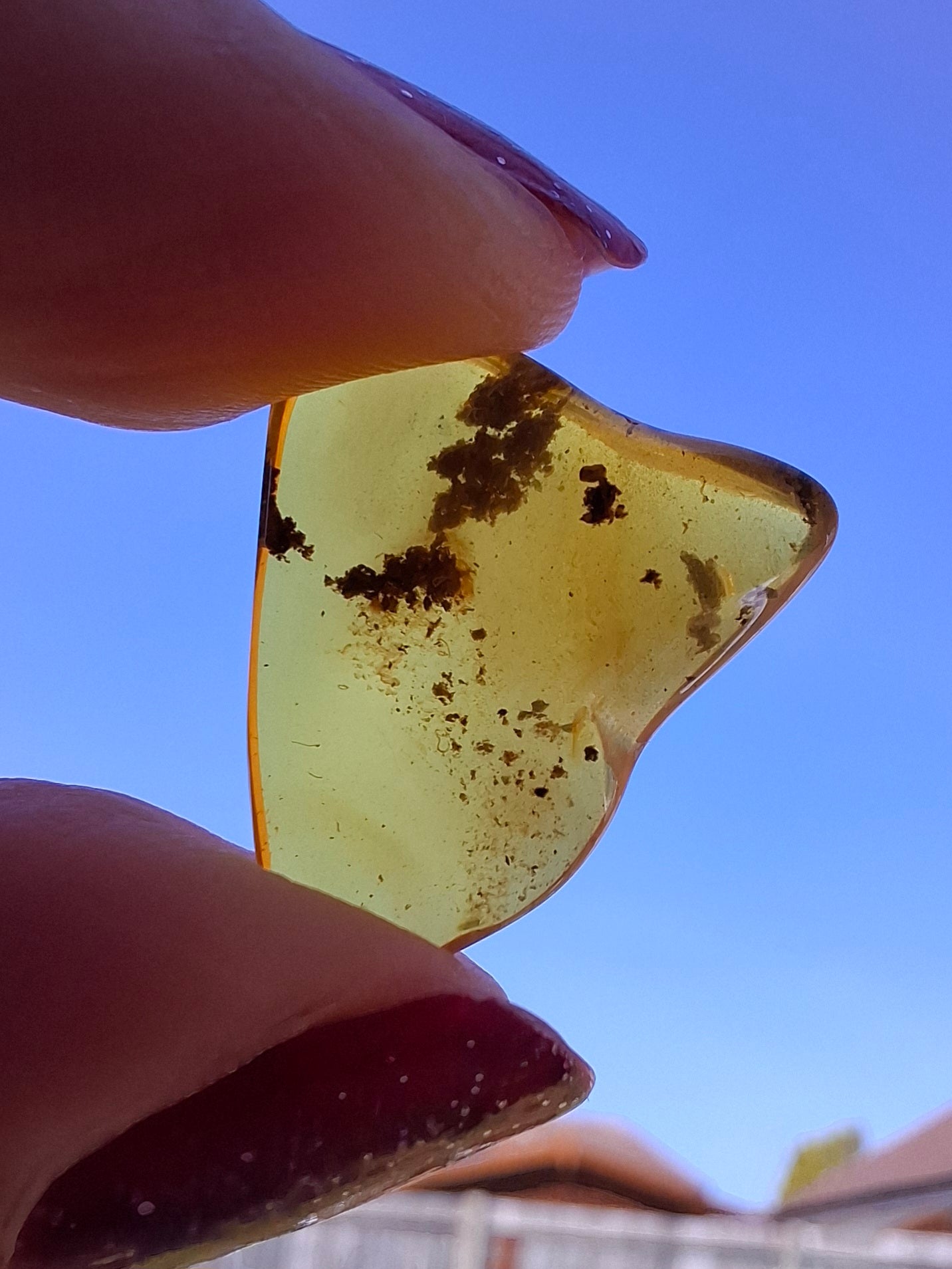 Baltic Amber, 0.91g, Fossil (Ref: A240)
