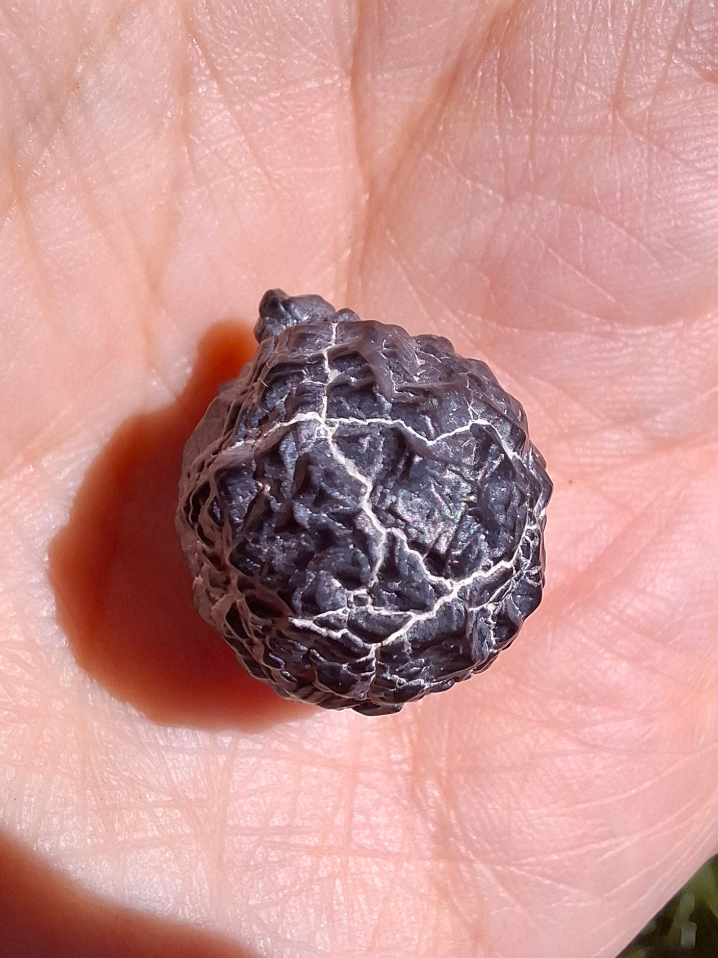 Prophecy Stone, 8.69g (Ref: PS3)