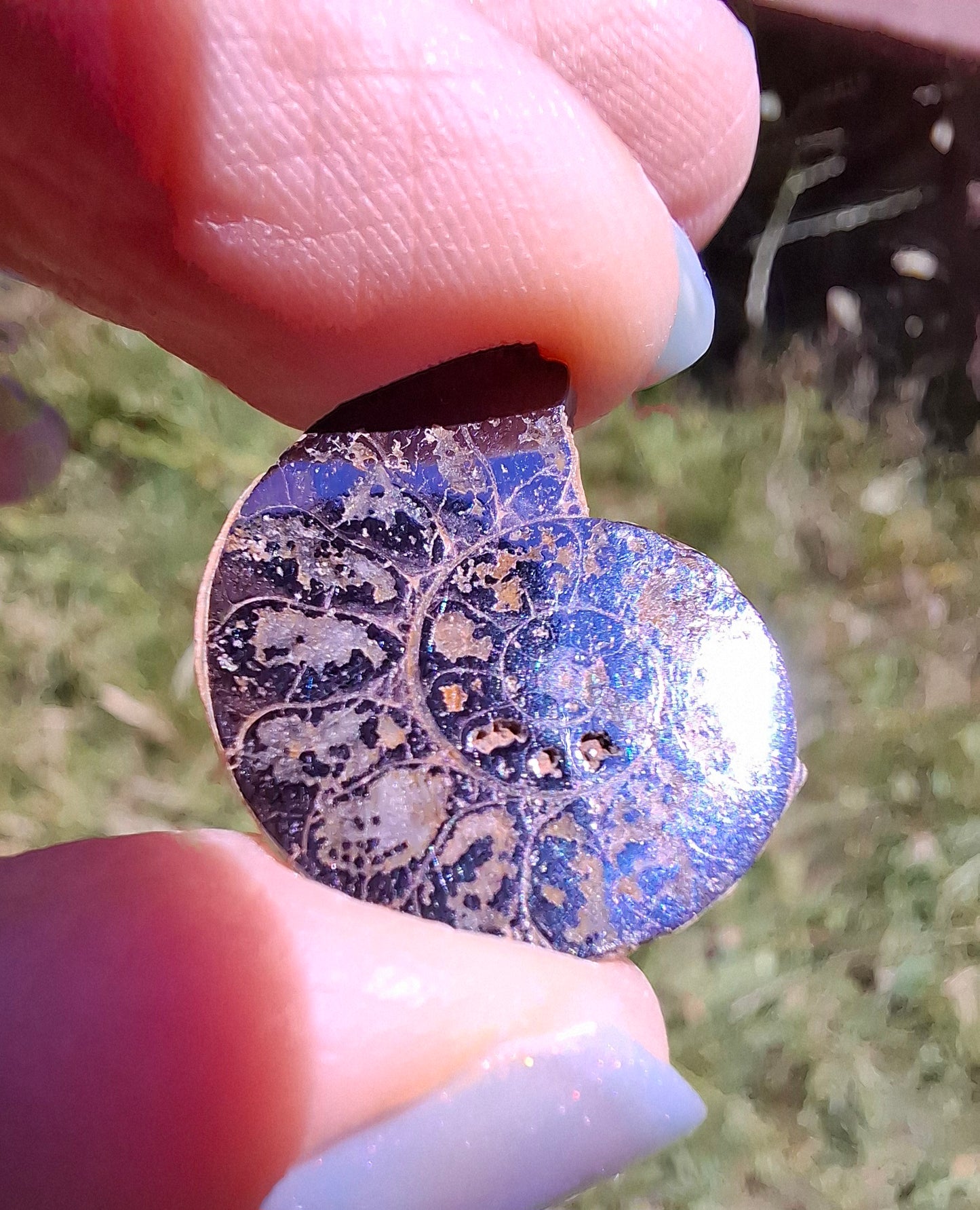 Small Haematite Ammonite HALF, 2.19g, Fossil (Ref: MA3)